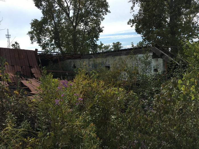 Denniston Drive-In Theatre - Oct 1 2016 Photo